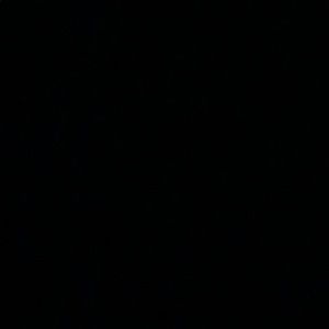 Meet your Posher, Natalia